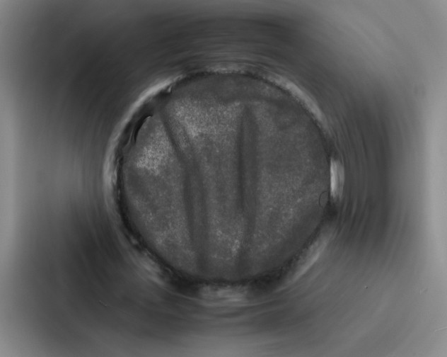 X0000086920723200705141722