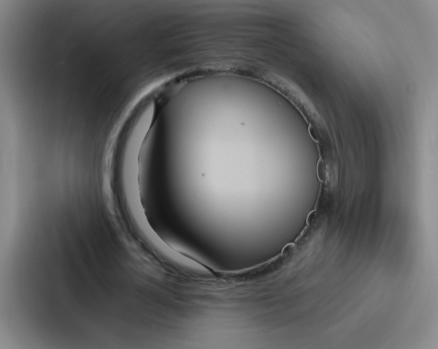 X0000086920724200705141722