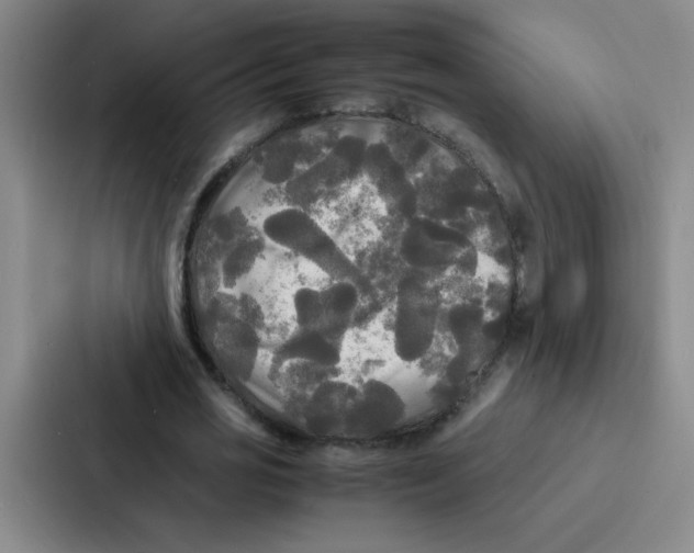 X0000086920725200705141722