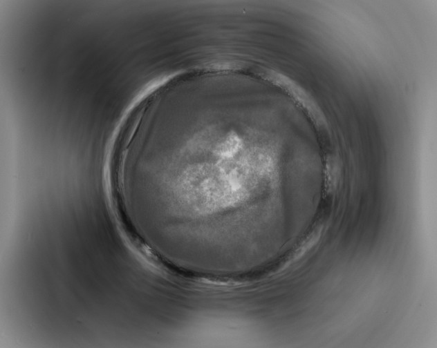 X0000086920726200705141722