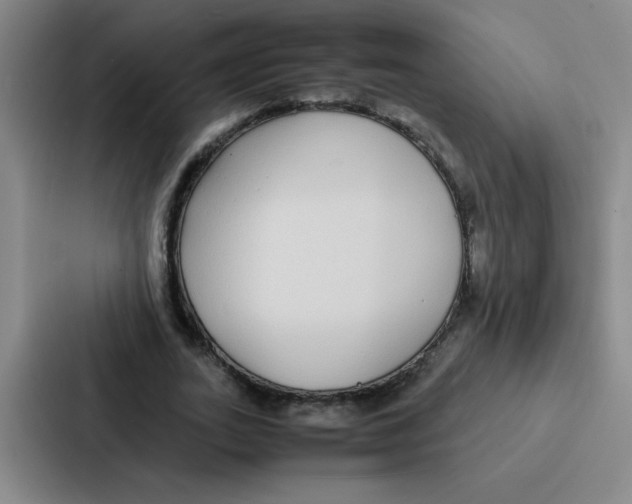 X0000086920727200705141722