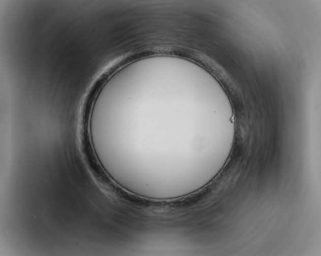 X0000086920728200705141722