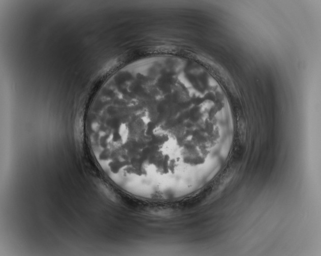 X0000086920729200705141722