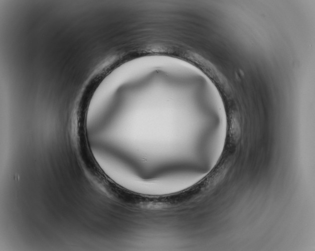 X0000086920730200705141722