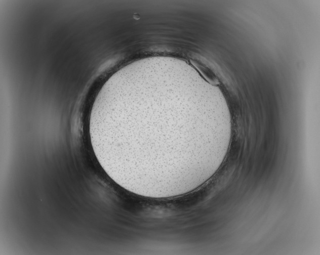 X0000086920731200705141722