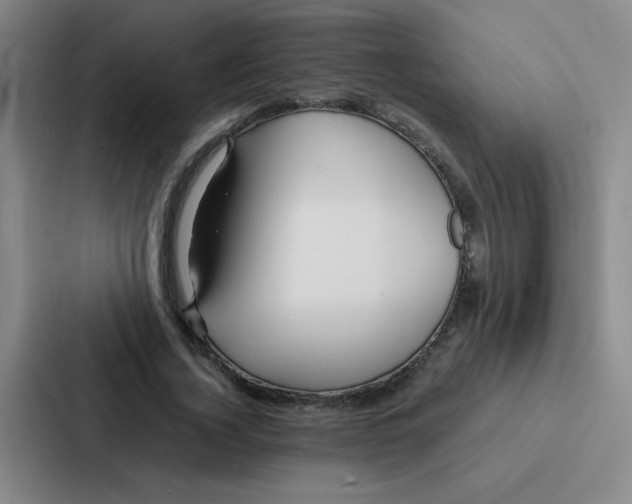 X0000086920732200705141722