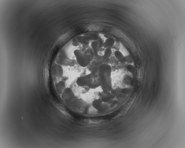X0000086920733200705141722