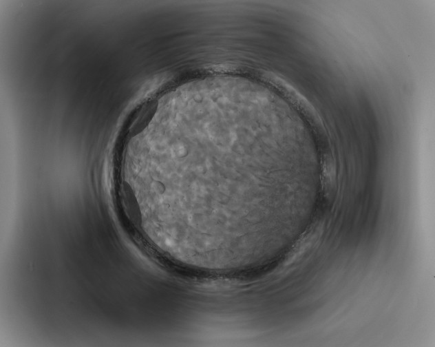 X0000086920734200705141722