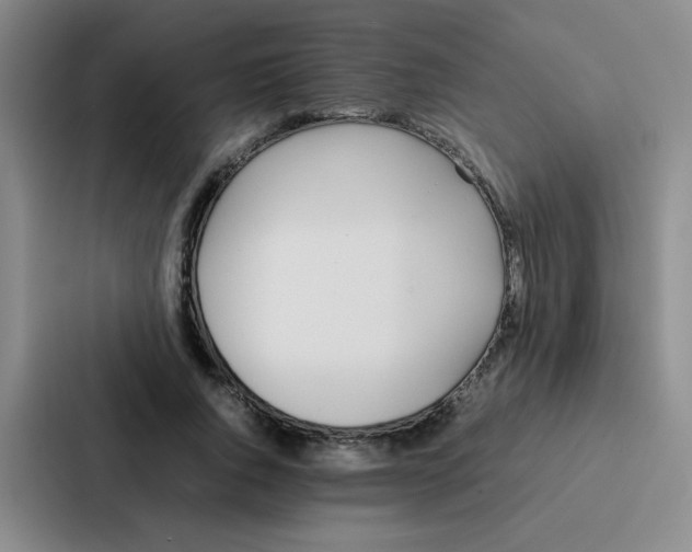 X0000086920736200705141722