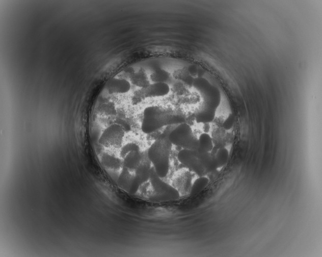 X0000086920737200705141722