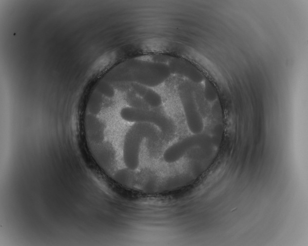 X0000086920738200705141722