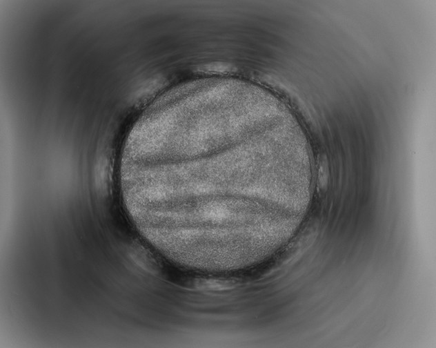 X0000086920739200705141722