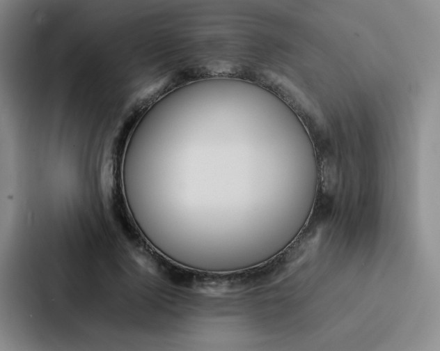 X0000086920740200705141722