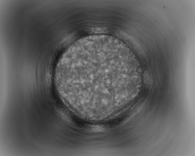 X0000086920741200705141722