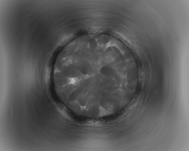 X0000086920742200705141722