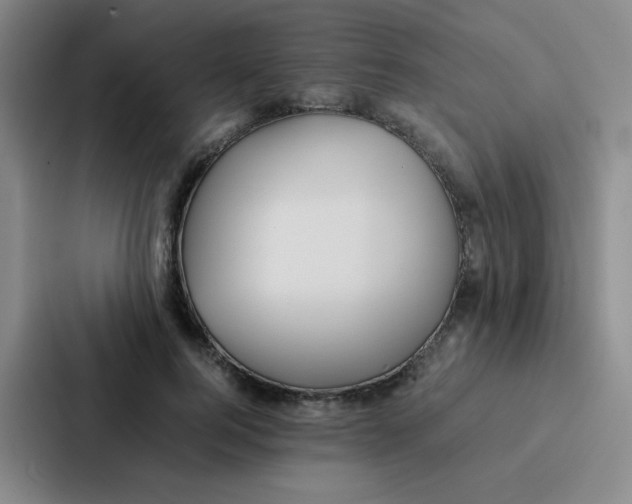X0000086920744200705141722