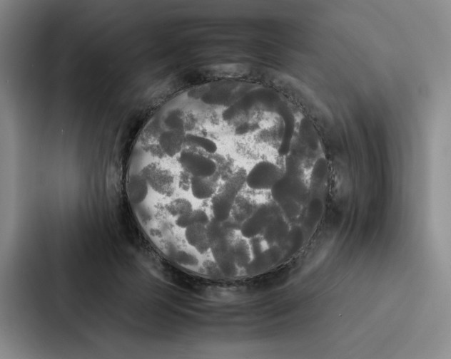 X0000086920745200705141722