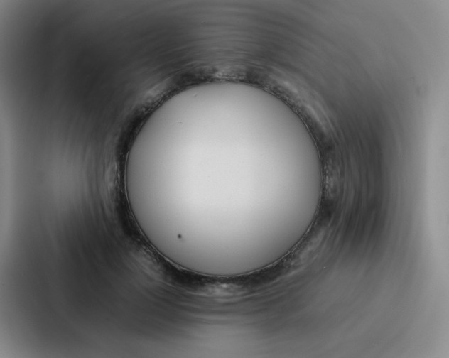 X0000086920748200705141722