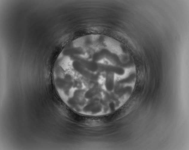X0000086920749200705141722