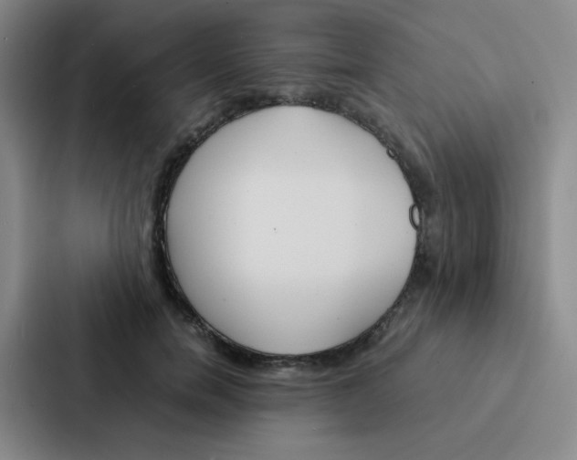 X0000086920750200705141722
