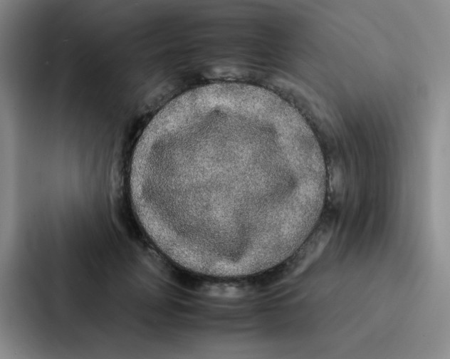 X0000086920751200705141722
