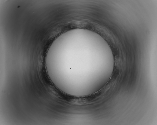 X0000086920752200705141722