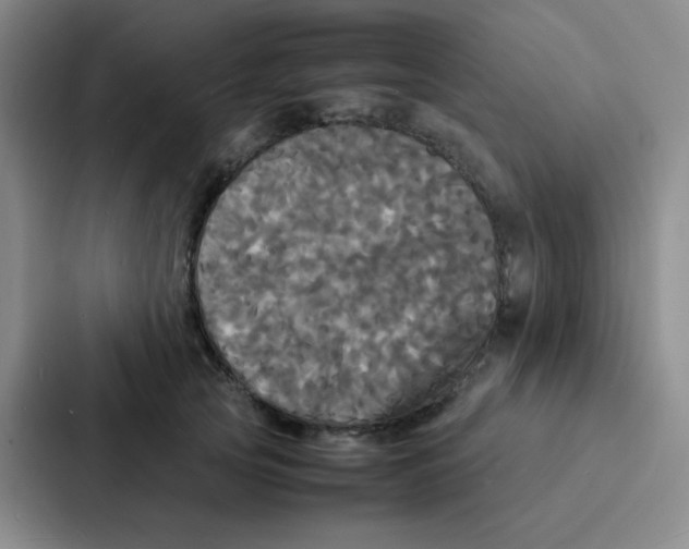 X0000086920753200705141722