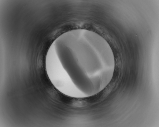 X0000086920754200705141722
