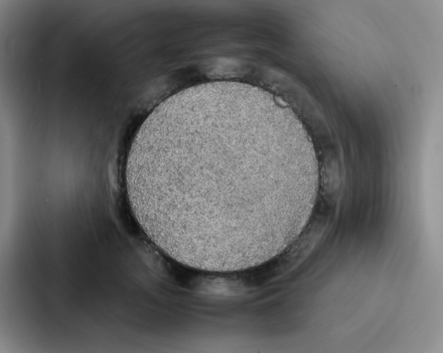 X0000086920755200705141722