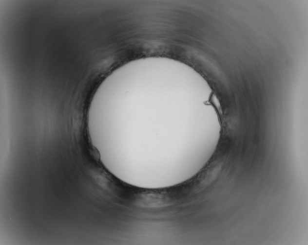 X0000086920756200705141722
