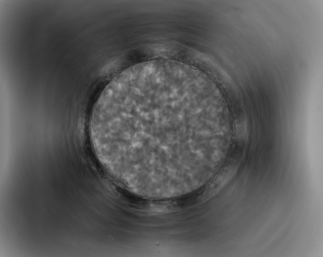 X0000086920757200705141722
