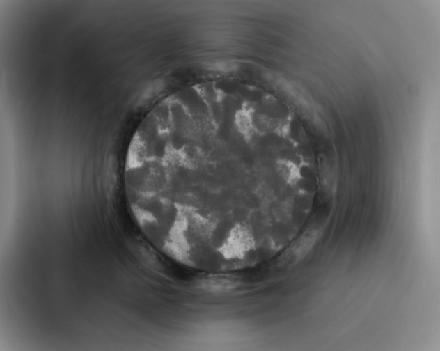 X0000086920758200705141722