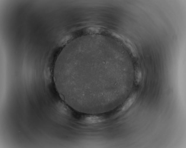 X0000086920759200705141722