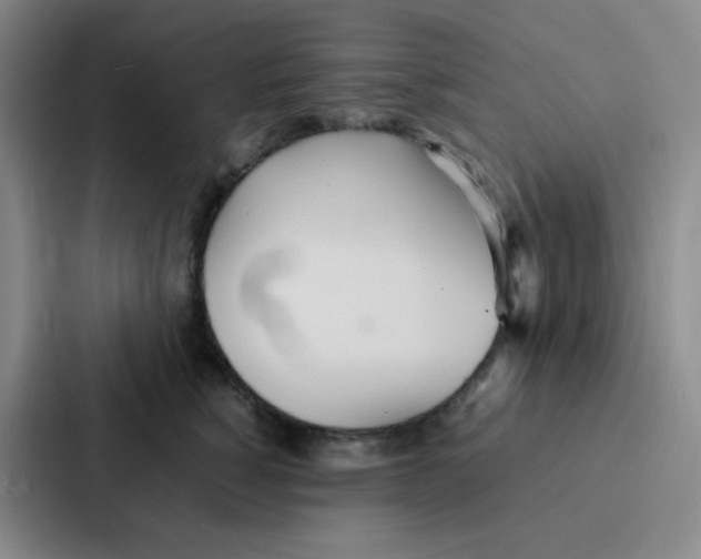 X0000086920760200705141722
