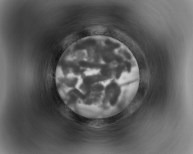 X0000086920761200705141722