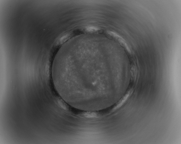 X0000086920762200705141722