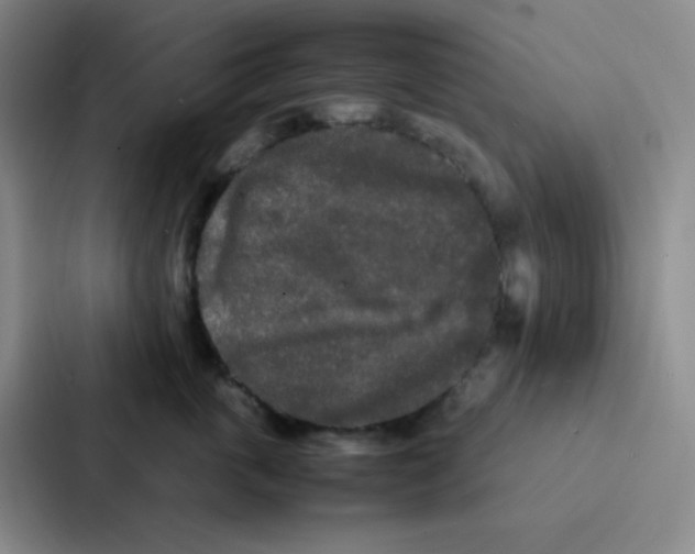 X0000086920763200705141722