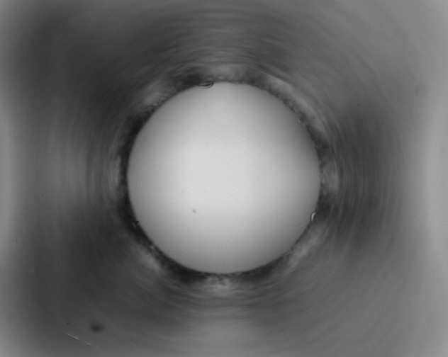 X0000086920764200705141722