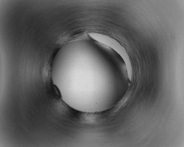 X0000086920766200705141722