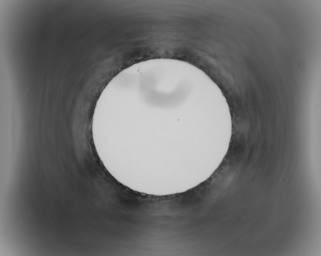 X0000086920769200705141722