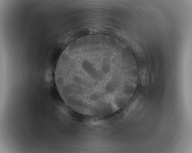 X0000086920770200705141722