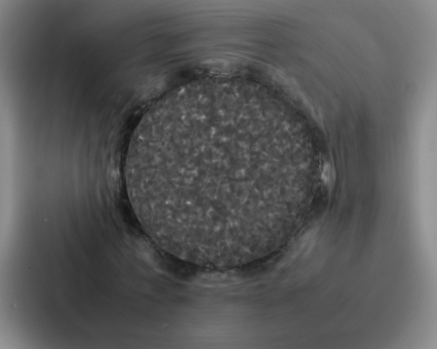 X0000086920771200705141721