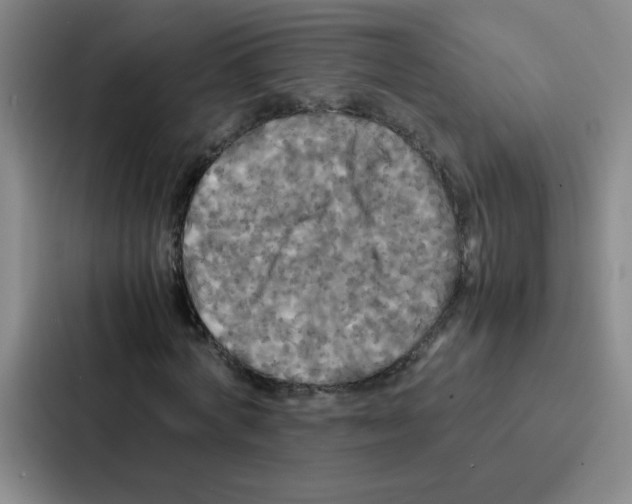 X0000086920772200705141721
