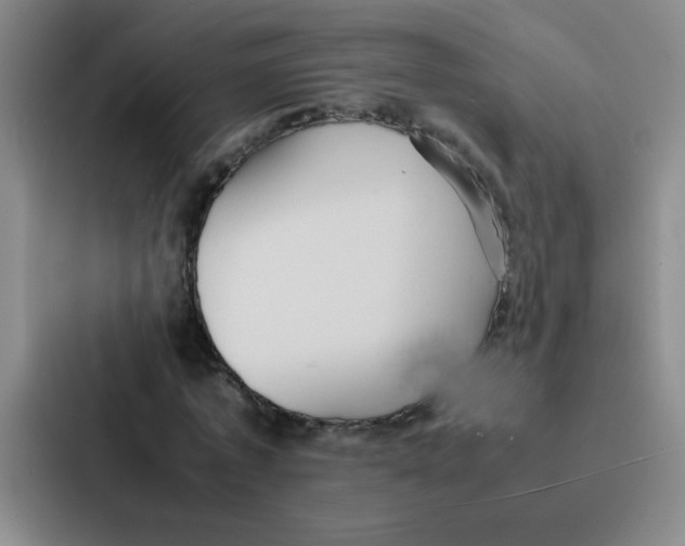 X0000086920773200705141721