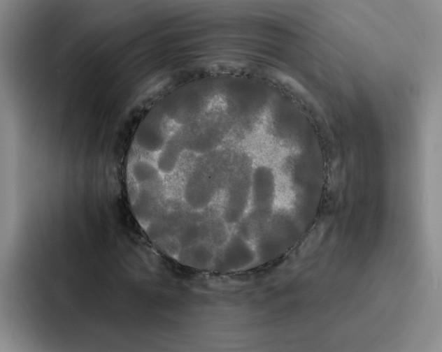 X0000086920774200705141721