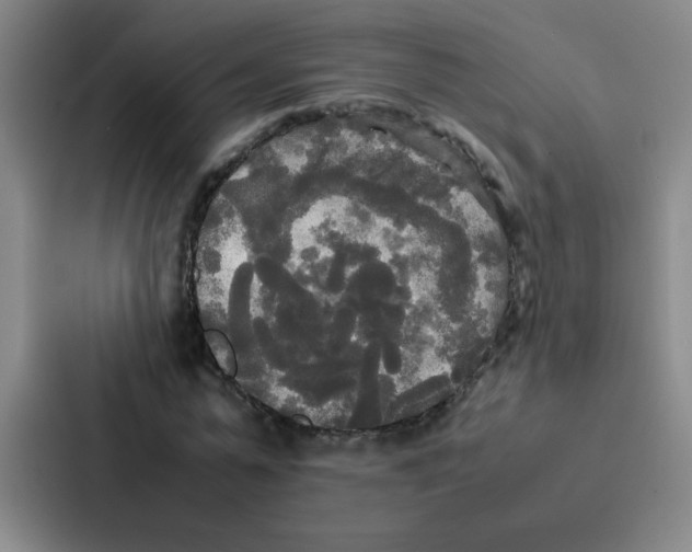 X0000086920775200705141721