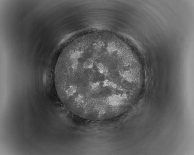 X0000086920776200705141721