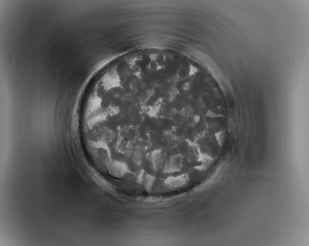 X0000086920779200705141721