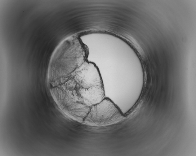 X0000086920780200705141721