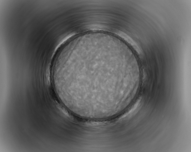 X0000086920782200705141721